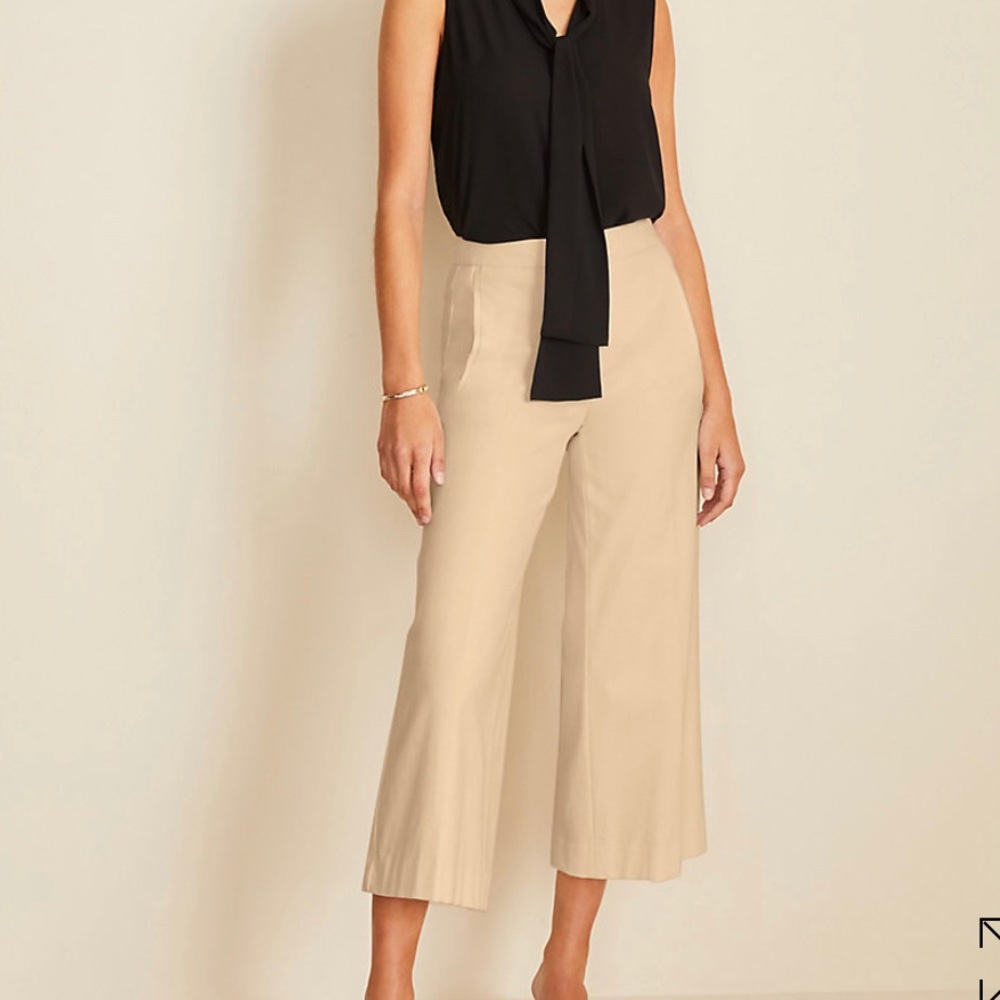 Ann Taylor, Size 2, Wide Leg Pants